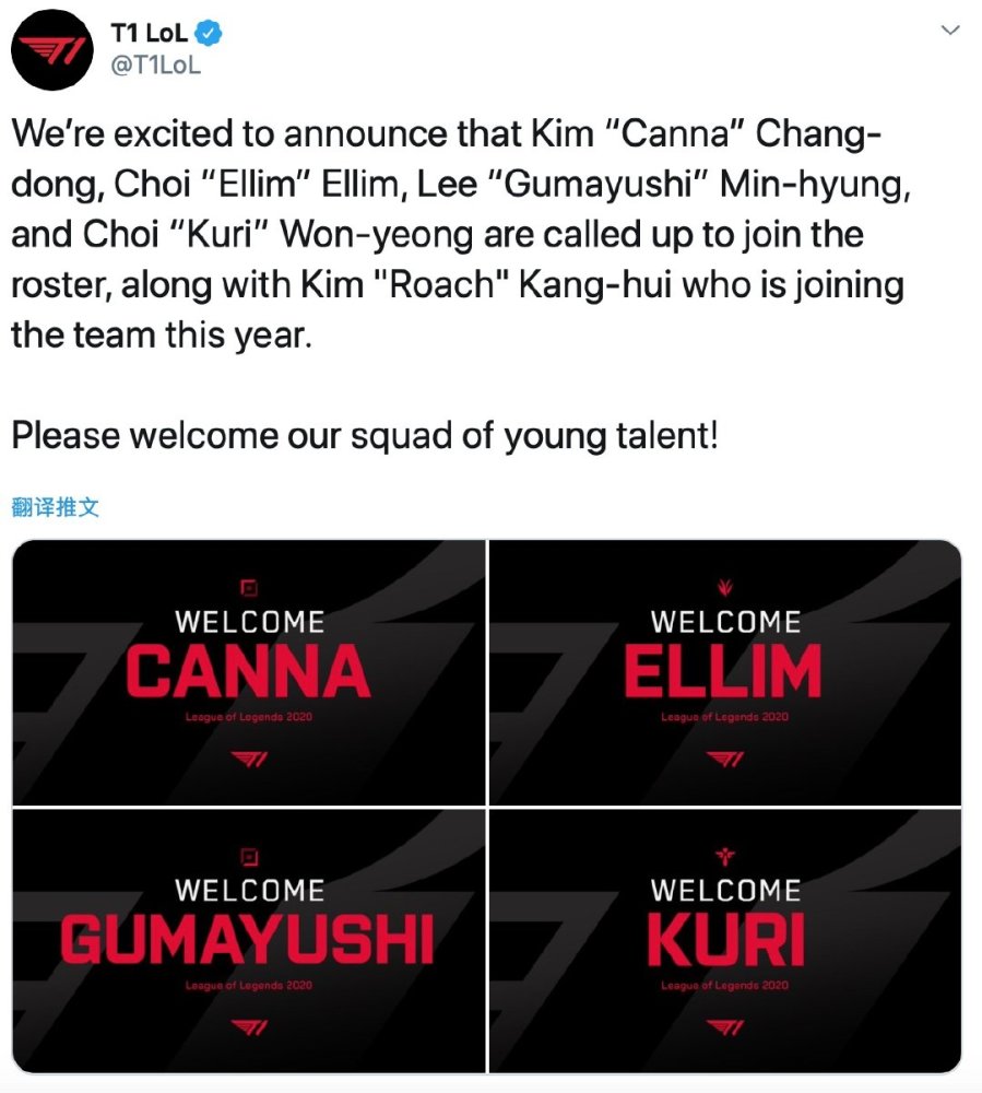 这篇报道聚 这篇报道聚